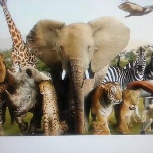 Meet your Posher, Edward